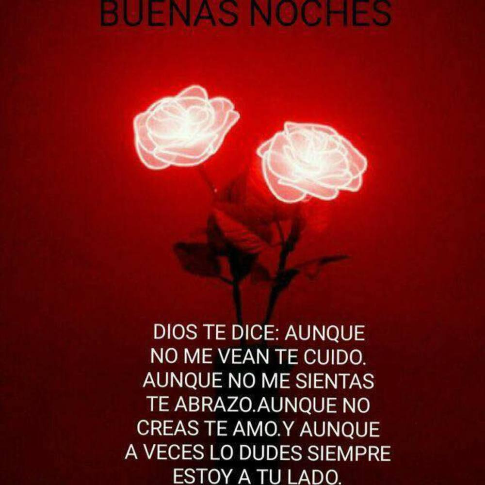 Meet your Posher, Liliana